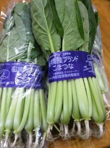 ひらの農園さんの新鮮な小松菜です「９月21日の病院給食夕ごはん「小松菜のしゅうまい」」