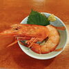 お酒の肴にぴったりな海老「大きな赤海老🦐お刺身でも塩焼きでもどうぞ」