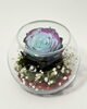 「素敵な想い出のお花をボトルフラワーにお作りできます♡【宮崎/ボトルフラワー/生花加工/生花保存/ドライフラワー】」