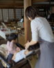 子連れでも大丈夫「[和歌山市／エステ]お寺のマルシェ、ゆるゆる会3周年｜最多18ブースで皆さまをお迎えします」