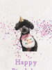 「Dog salon mofu mofu　余市町」