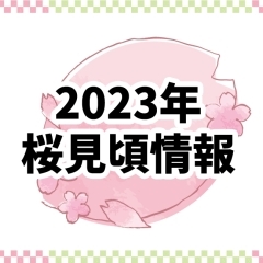 2023年版 桜見頃情報