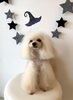 Ｈappy Halloween「Ｈappy Halloween ^o^」