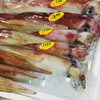 「魚魚市場鮮魚コーナーおすすめは「ゴマサバ」です♪」
