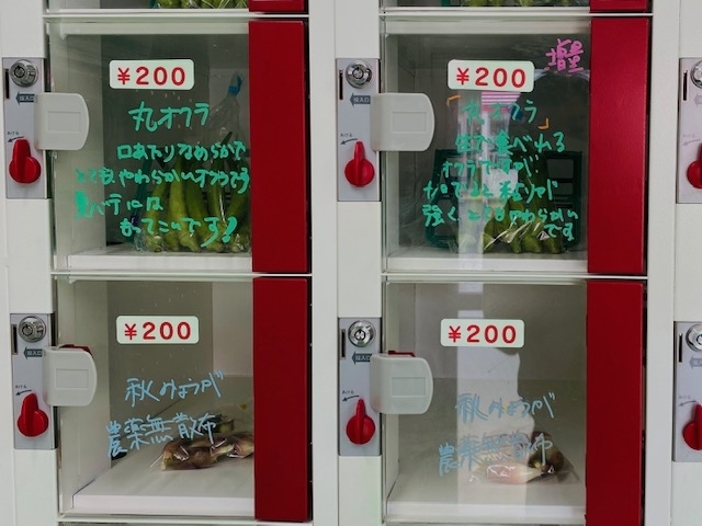 船橋市 まいぷれ