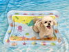ティコちゃん「波とわんこ🌊＆サロンから」