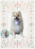 「Dog salon mofu mofu　余市町」