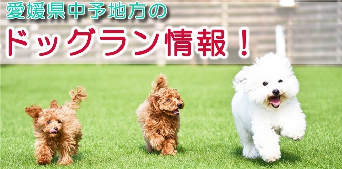 愛媛県中予地方のドッグラン情報 ペット情報まとめ 松山 伊予 東温 松前 砥部 まいぷれ 松山 伊予 東温 松前 砥部 愛媛県中予地方のドッグラン情報 ペット情報まとめ 松山 伊予 東温 松前 砥部 まいぷれ 松山 伊予 東温 松前 砥部