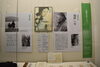 「岸壁の母」