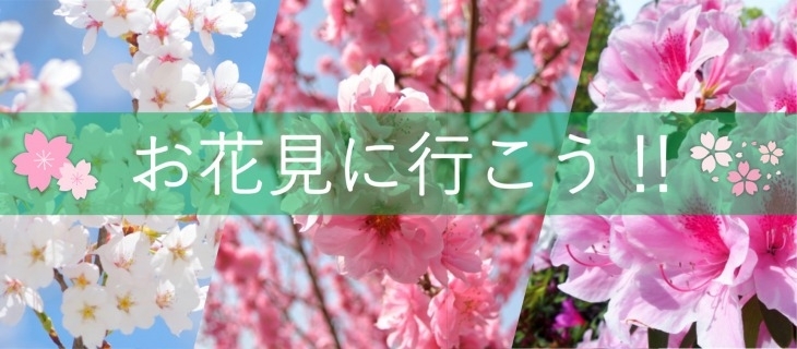 岡山市 瀬戸内市 さくら お花見スポット まいぷれ 岡山市中区 南区 岡山市 瀬戸内市 さくら お花見スポット まいぷれ 岡山市中区 南区
