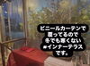 冬場はインナーテラスで暖房完備「大切なワンちゃんと一緒に、ゆったりとしたひとときを🐶　🍽️大切な方の特別な日にレストラン西本🍽️　」