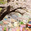 南郷公園桜まつり　【船越】
