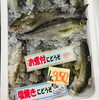 「魚魚市場鮮魚コーナーおすすめは「オジサン(魚)」です♪」