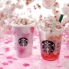 スターバックスにSAKURAの季節到来！
