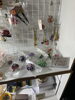 「ぱぴぽん☆ギャラリー展【南区米津・腸活料理・イベントカフェ・古民家カフェ・セミナー会場】」