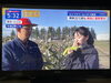 取り立てヤングコーンを召し上がって頂きました。「☆カラフル野菜の小山農園、『スーパーJチャンネル』無事にオンエア👍」