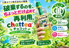 「防災用品の見直しに！ペットボトルと茶葉で備える携帯茶こし「チャッティー」」