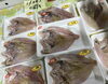 「魚魚市場鮮魚コーナーおすすめは「うちわエビ」です♪」