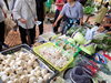 新鮮野菜販売（一例です）「さかた北前朝市開催します！」