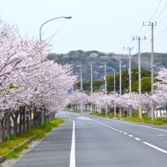 富津市役所前｜富津市