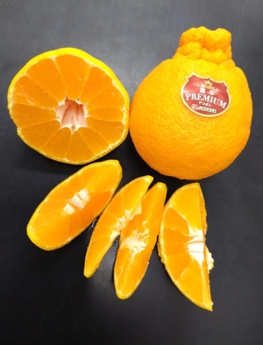 熊本PREMIUMデコポン。大好評🍊旬です「【2024年】柑橘🍊フルーツミニトマト🍅美味しい果物が勢揃いですよ✨やおもり果実専門店🍈」