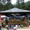 【相撲】化蘇沼稲荷神社夏祭り（巫女舞）