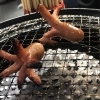 「タコさん出現∑(ﾟДﾟ)」