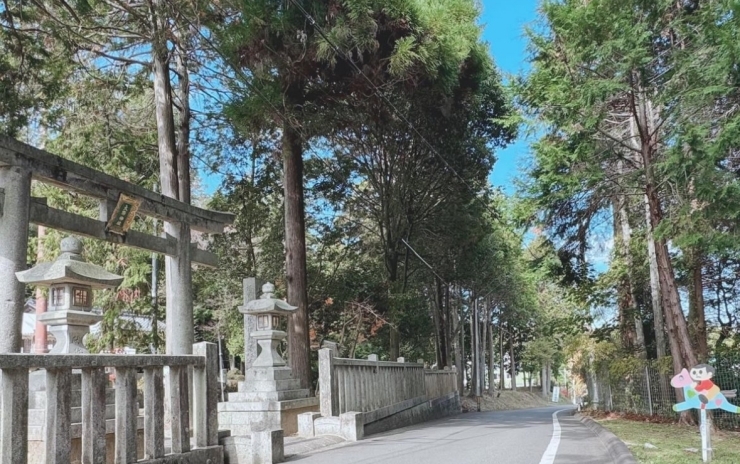 飛び出し坊や 栗東 トレセン「嵐 大野くん 聖地 大野神社さん」