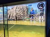 「10/29ＴＵＹ　どよーびぽんち　ｉｎ　マリンピア日本海」