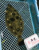 「魚魚市場鮮魚コーナーおすすめは「宮崎県産・養殖あゆ」です♪」