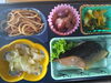 「8/5　お弁当の献立」