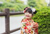 「【小田原城で叶える、家族の絆と成長の記念日】七五三★むらまつ衣裳店★」