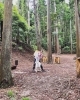おしゃれなバックパックを置いて竹籠を背負い、里山の道をゆっくりと歩く「3月の稼働率は98%。なぜ今、和心村の里山の「地味」が選ばれるのかについて探究してみました。そして、学生限定プランが常設プランにすることに決まりました！」