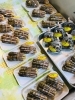 「西海物産館魚魚市場鮮魚コーナーおすすめ商品は「特売！伊勢海老」です♪」