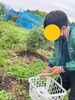 収穫収穫！「ハスカップ狩り🌳【札幌市北区児童デイサービスこぱんはうすさくら札幌太平教室】」