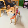 うめちゃん「今日のお友達」