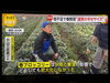 雨は今度いつ降るのかな…☂️「☆カラフル野菜の小山農園『Live news イット！』無事にオンエア📺☆」