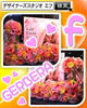「大好きなガーベラに囲まれて♪【福山駅近くのおしゃれな花屋】」