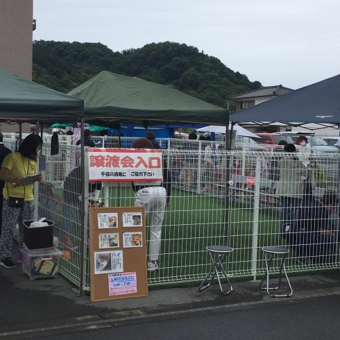 可愛いワンちゃん達がいっぱいでした「保護犬譲渡会を行いました(^▽^)」