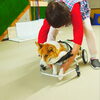 「今日のお友達」