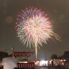 ２０１７伊奈まつりに行ってきた！