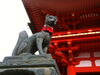 伏見稲荷大社（神狐）「人間も神仏さまも、お世話になっている方には感謝と御礼は欠かせません。」