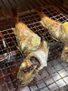 子持ちハタハタ塩焼き ブリコの食感たまらない逸品「魚や上なりでは冬の味覚を豊富に取り揃えております【浜町/魚料理/全国の地酒/刺し身/豊洲直送/自家製西京焼き/オンラインショップ運営】」