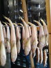 「📣本日のお魚情報🐟」