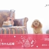 【延期】第1回　ホームズ葛西店　大好き！わんちゃん・ねこちゃん広場