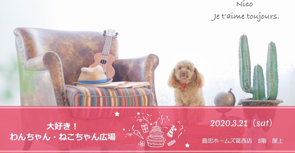 延期 第1回 ホームズ葛西店 大好き わんちゃん ねこちゃん広場 オススメお出かけ情報 まいぷれ 江戸川区 延期 第1回 ホームズ葛西店 大好き わんちゃん ねこちゃん広場 オススメお出かけ情報 まいぷれ 江戸川区