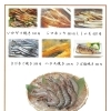 魚介類３
