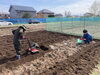 「だけボラ農園開始に向けて、準備を進めております！」