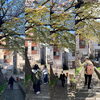 いってらっしゃい「Good morning Otaru! ◎ 小樽の古民家ゲストハウスより」