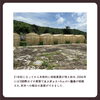 「【CAMBODIAN LIFE】カンポット·ペッパー(WHITE)について」